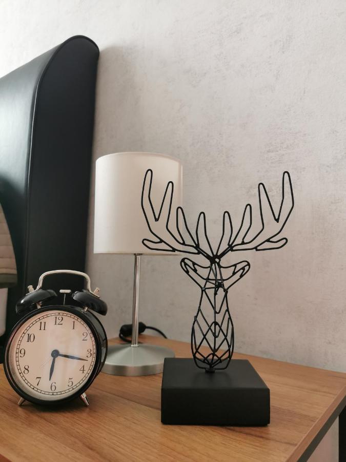 Ferienwohnung Luise Mit Separater Kueche Naumburg  Eksteriør billede