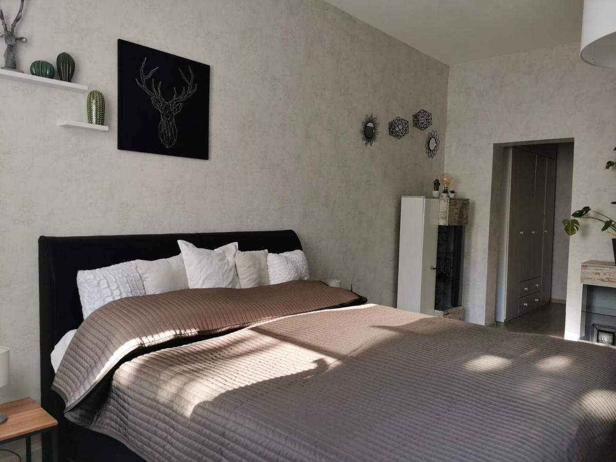 Ferienwohnung Luise Mit Separater Kueche Naumburg  Eksteriør billede